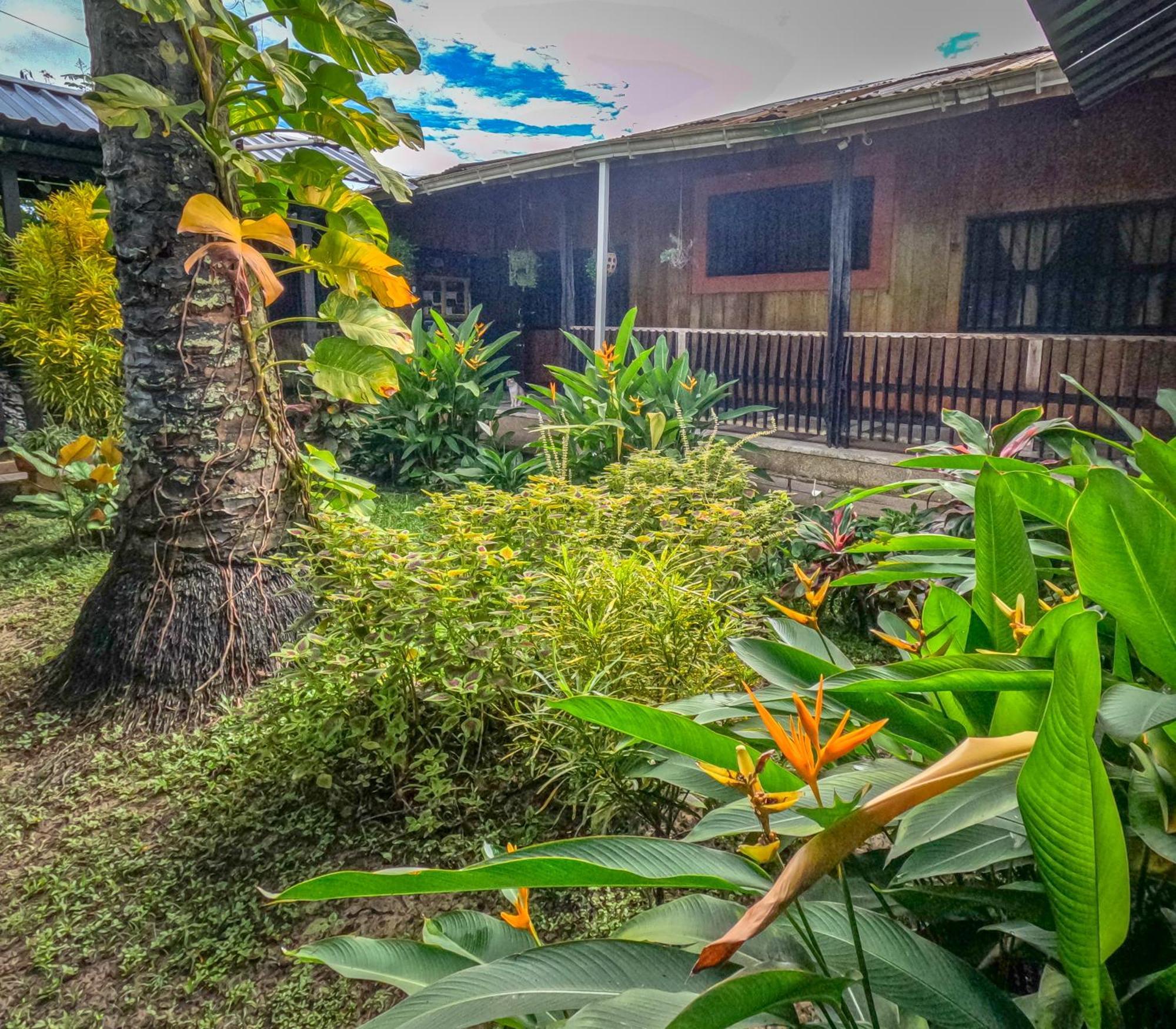Hostel Casa De Las Palmas Tours Летисия Экстерьер фото